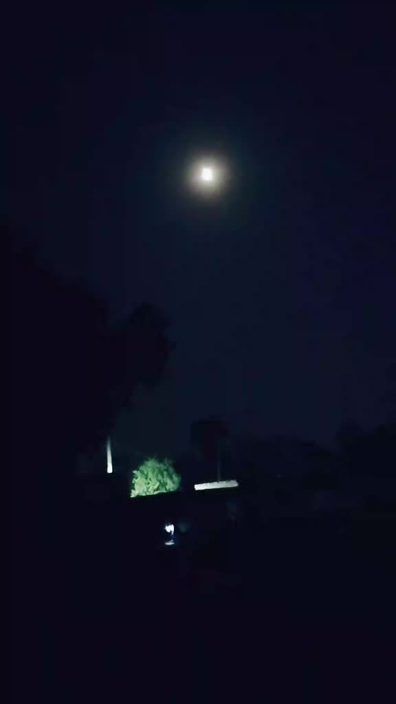 @Shani Gujjar