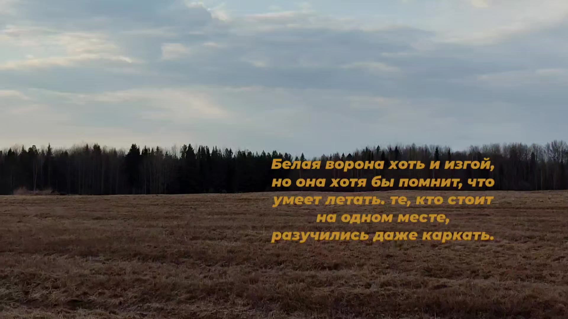 @ТГК : 𝙺𝚒𝚘𝚘𝚜𝚑𝚒