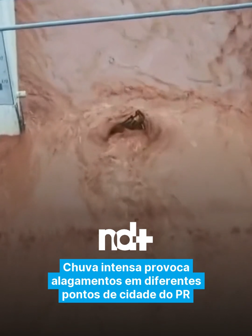 @portalndmais