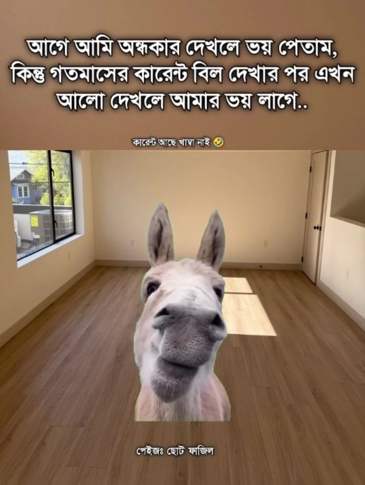 @Md Akash Khan