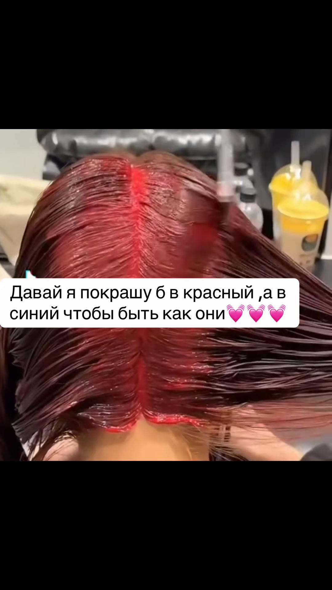 @Дашулька🪽