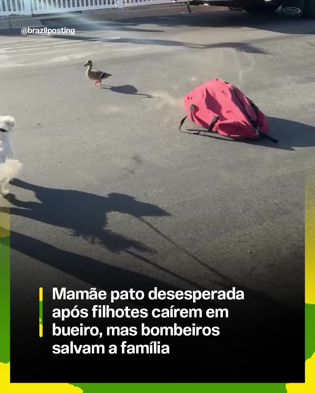 @Brazil Posting