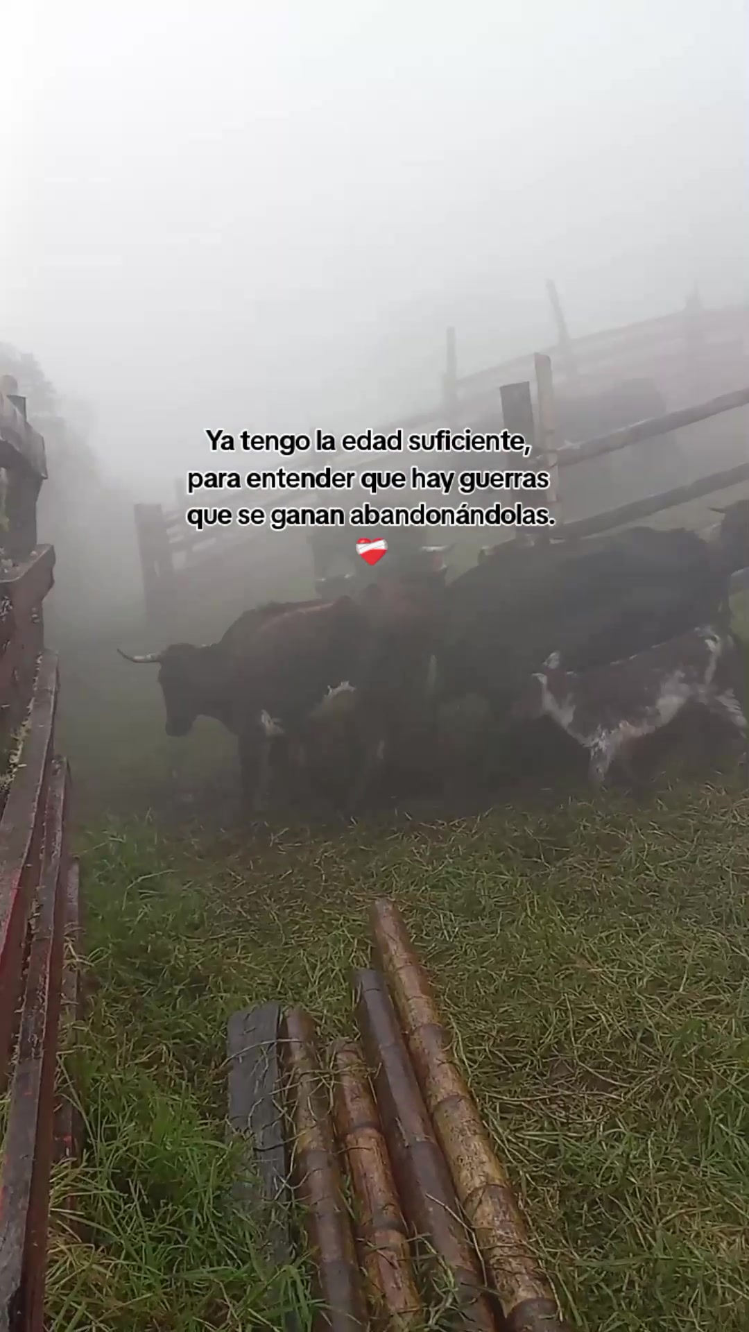 @ganaderia el pedrega