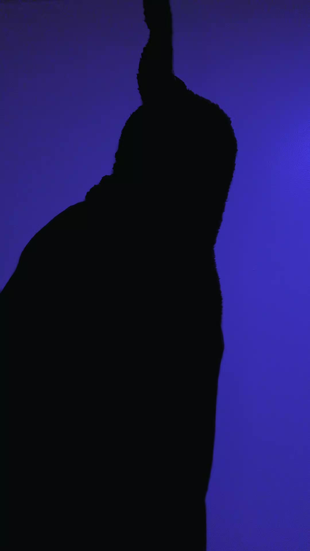 @🔪 𝘚𐊢Ꮢ𝞔𝔸Ꮇ 𝗞Ɩ𝑵ɢ🫅🏻