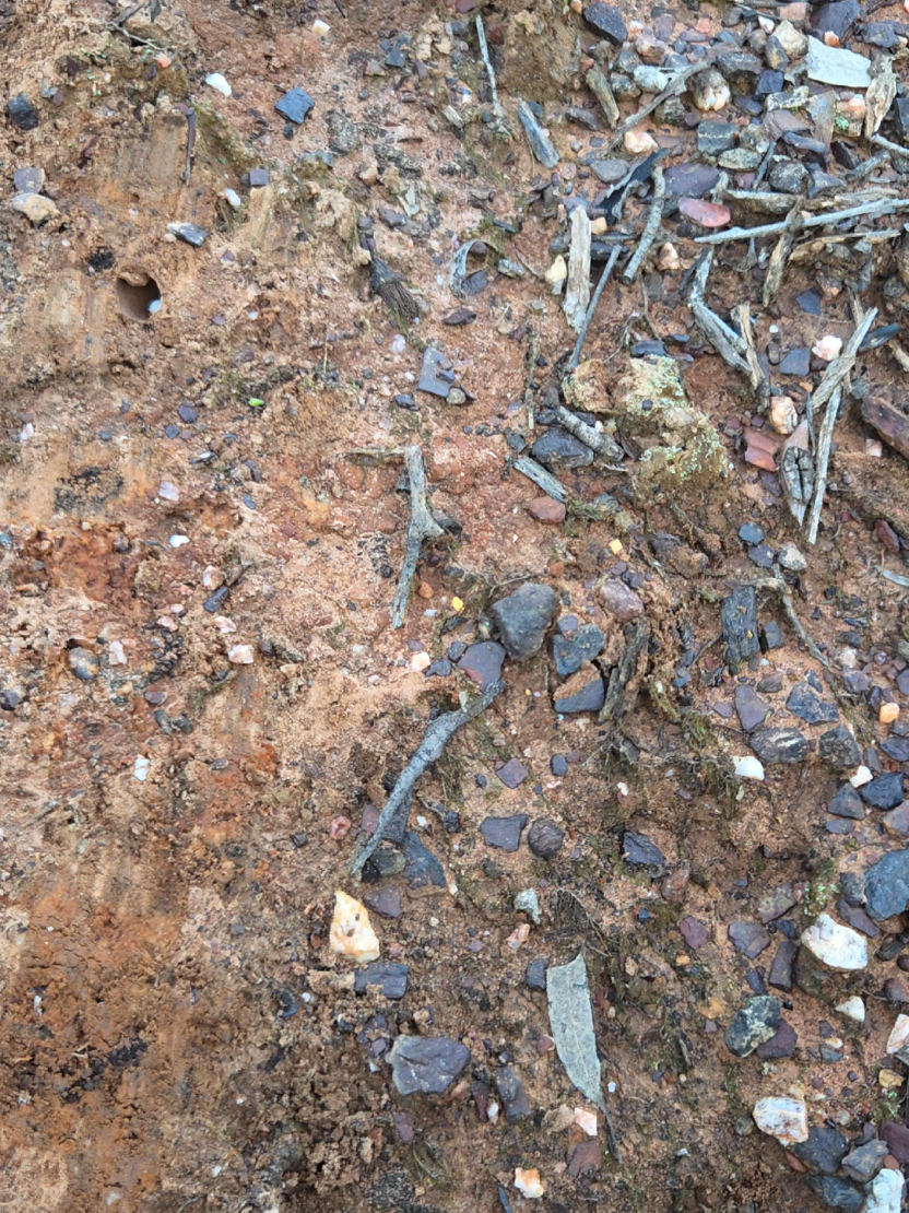 @Savage Prospecting