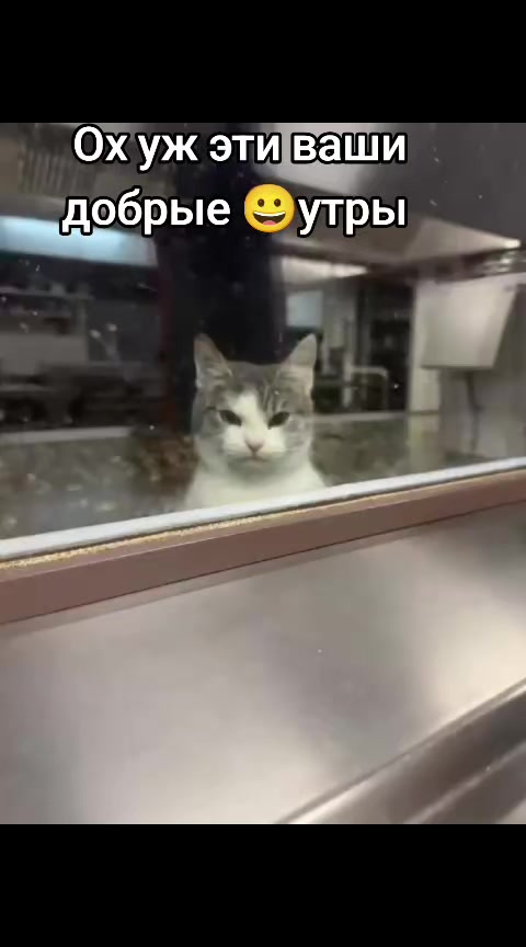 @КОМАРИХА