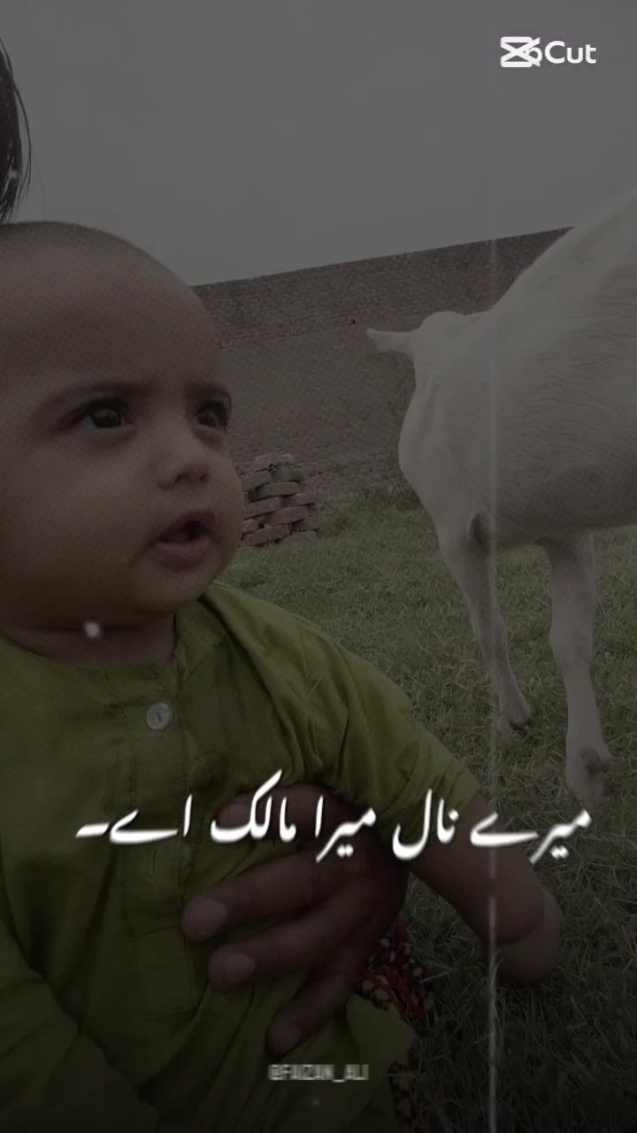 @M Mubashir Khan