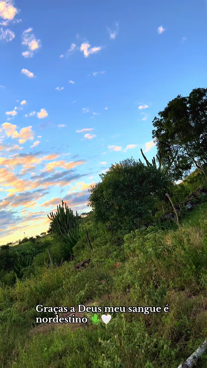 @Gih Santos
