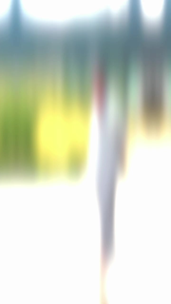 @Ķąłįm W&atilde;ž&iuml;ř