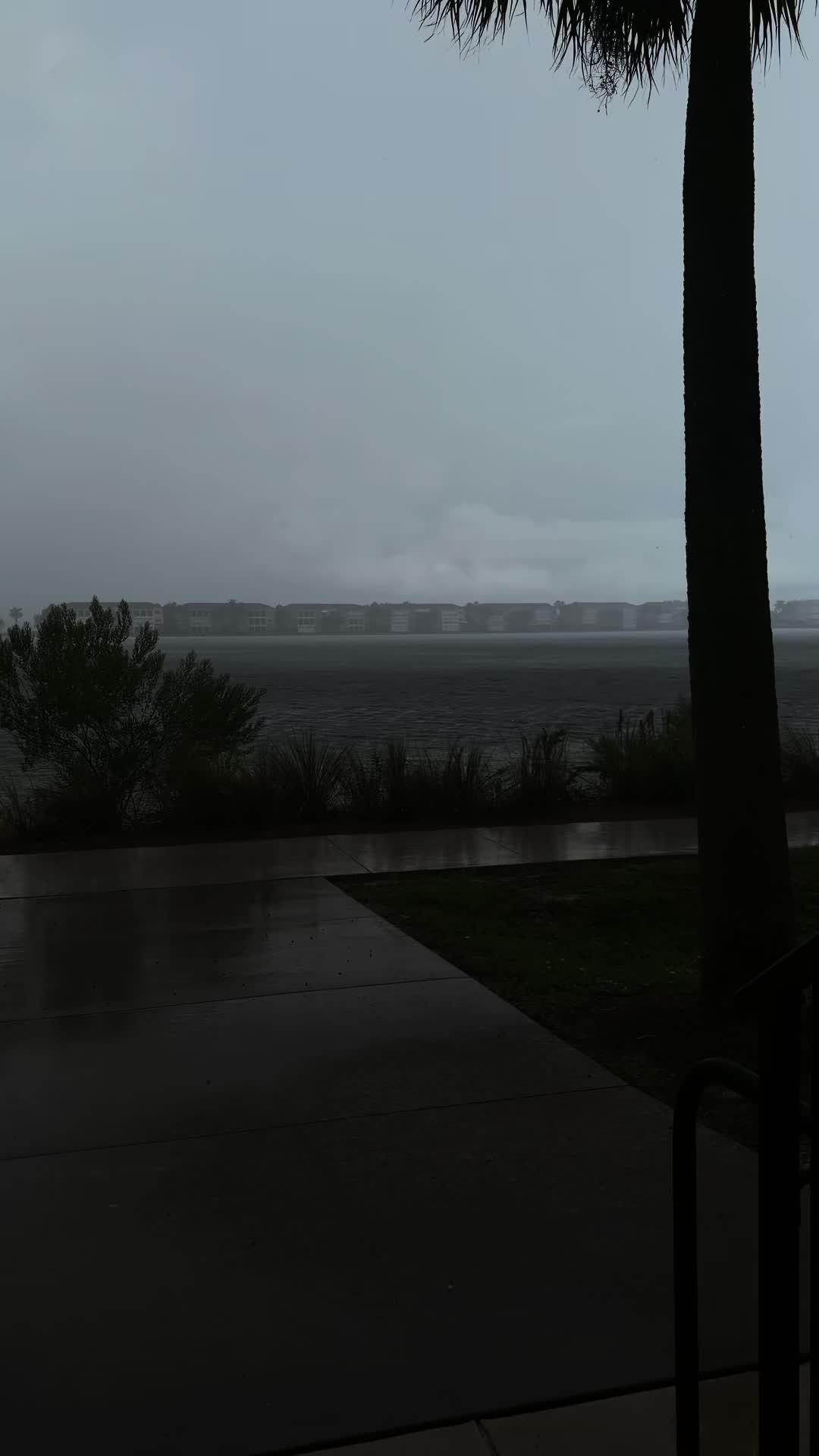 @view
