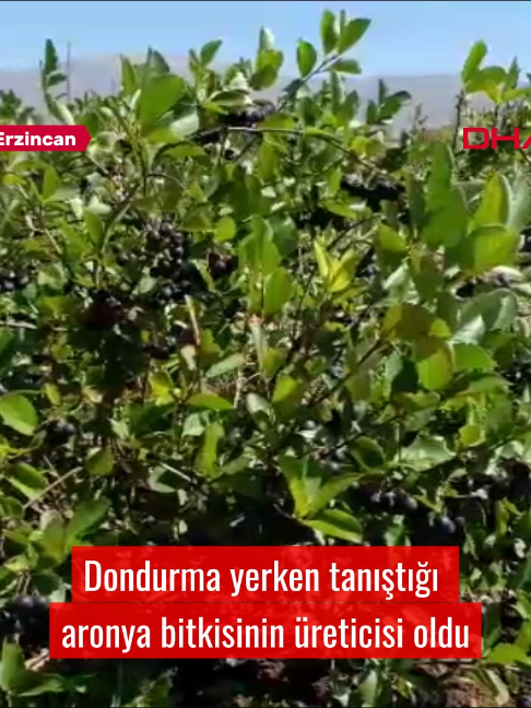 @Demir&ouml;ren Haber Ajansı