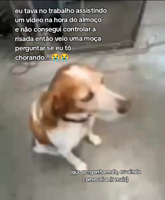 @Camarão 🦐