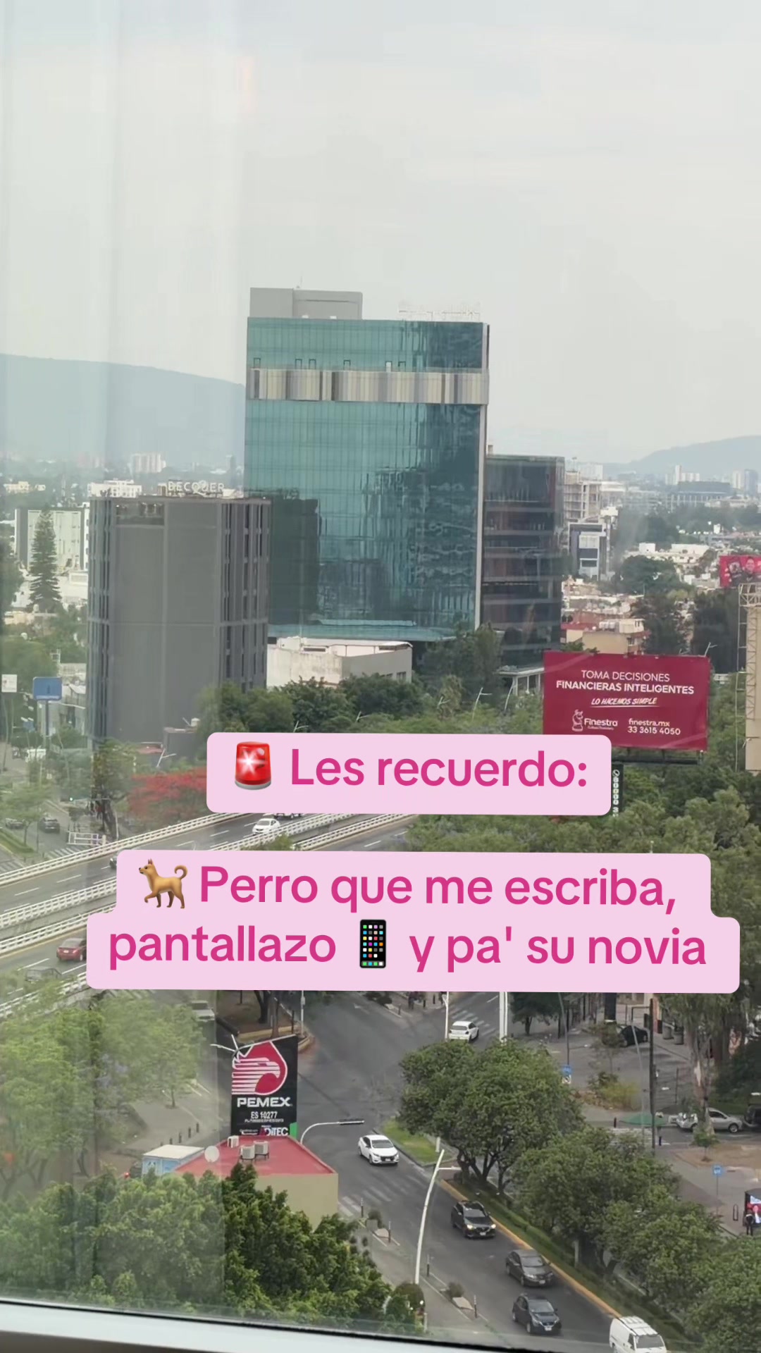 @Yani Suarez Realtor