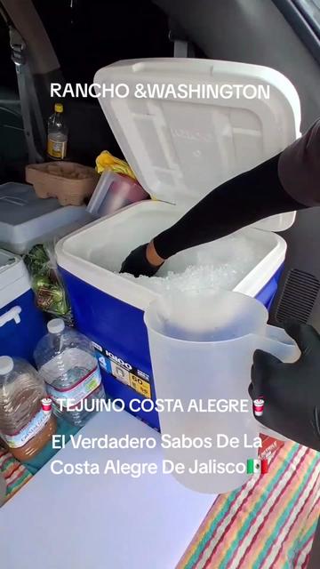 @TEJUINO COSTA ALEGRE LV