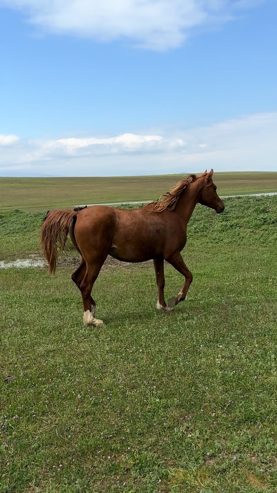 @MakvinStud