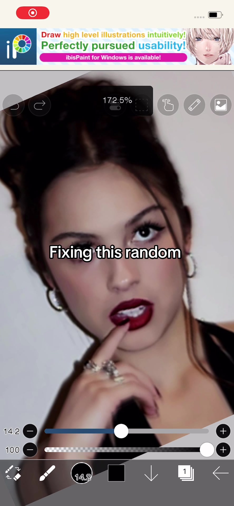 @maxine
