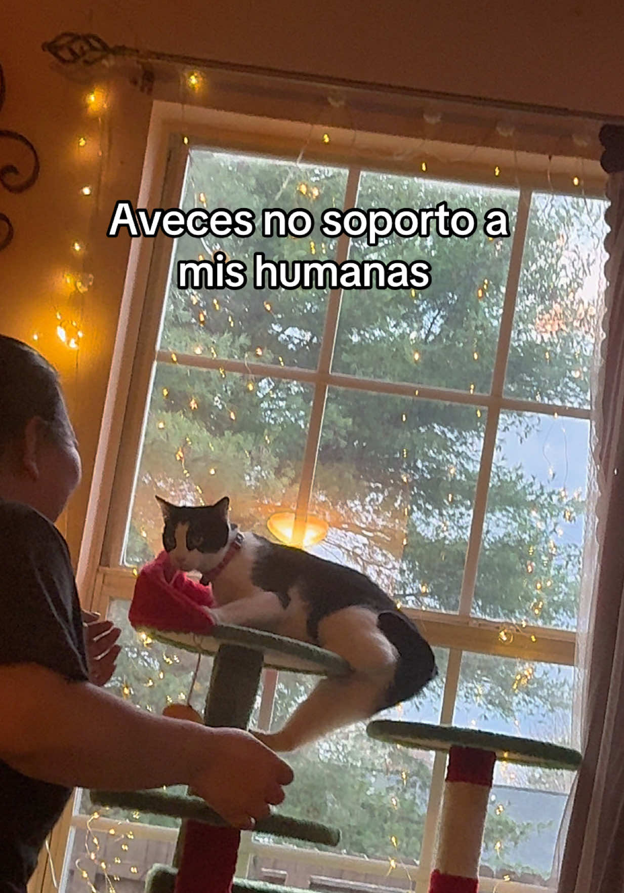 @Luna🌙 y Sol☀️