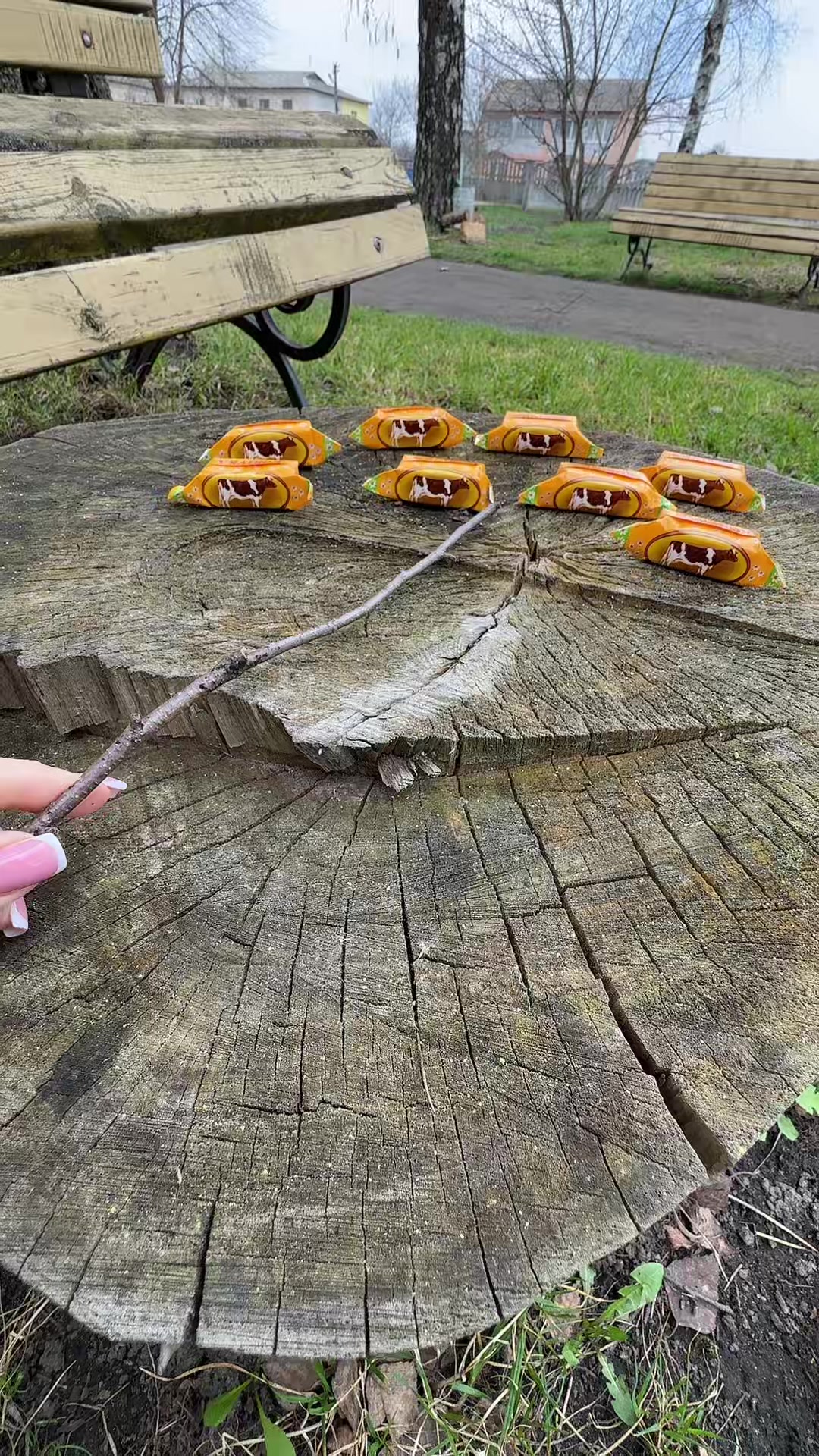 @Марішка