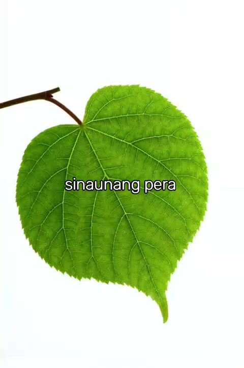 @🌜