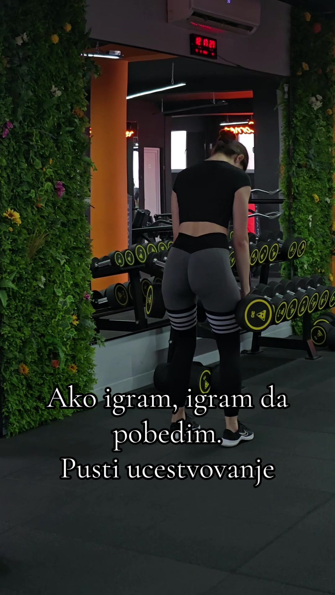 @pinokio