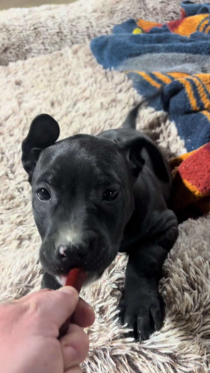 @Friends Forever Animal Rescue