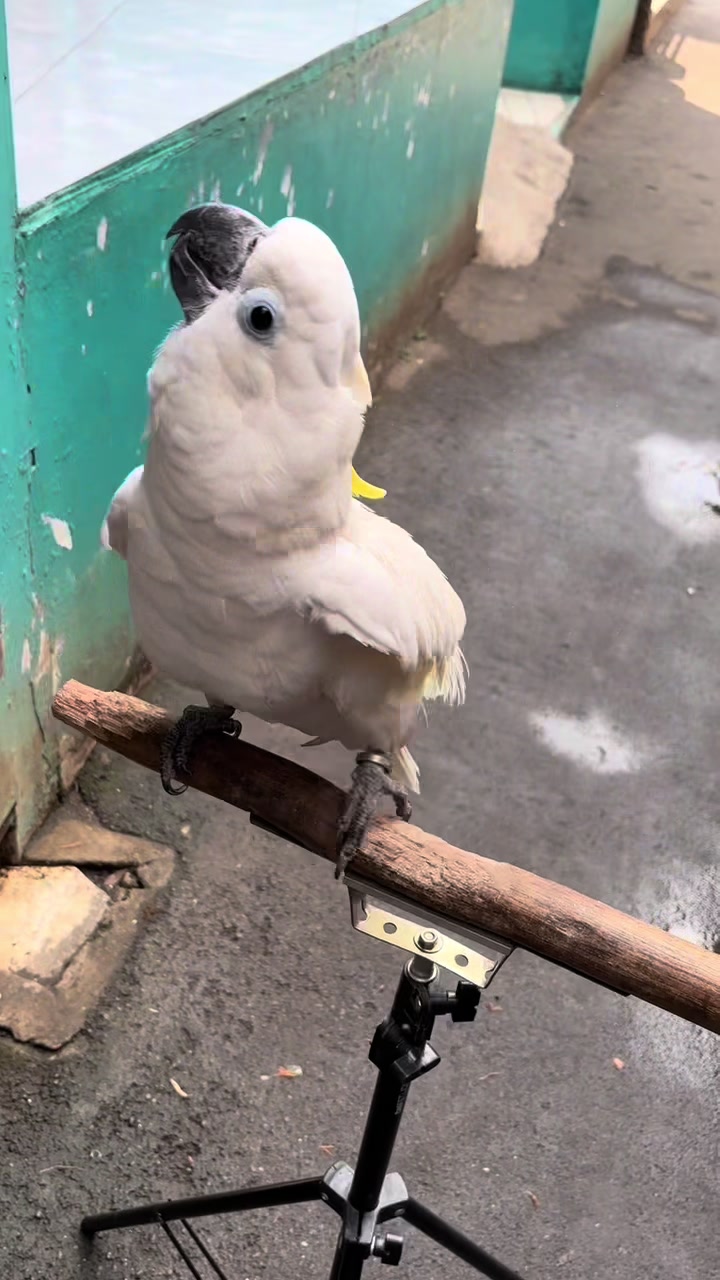 @bio_bege
