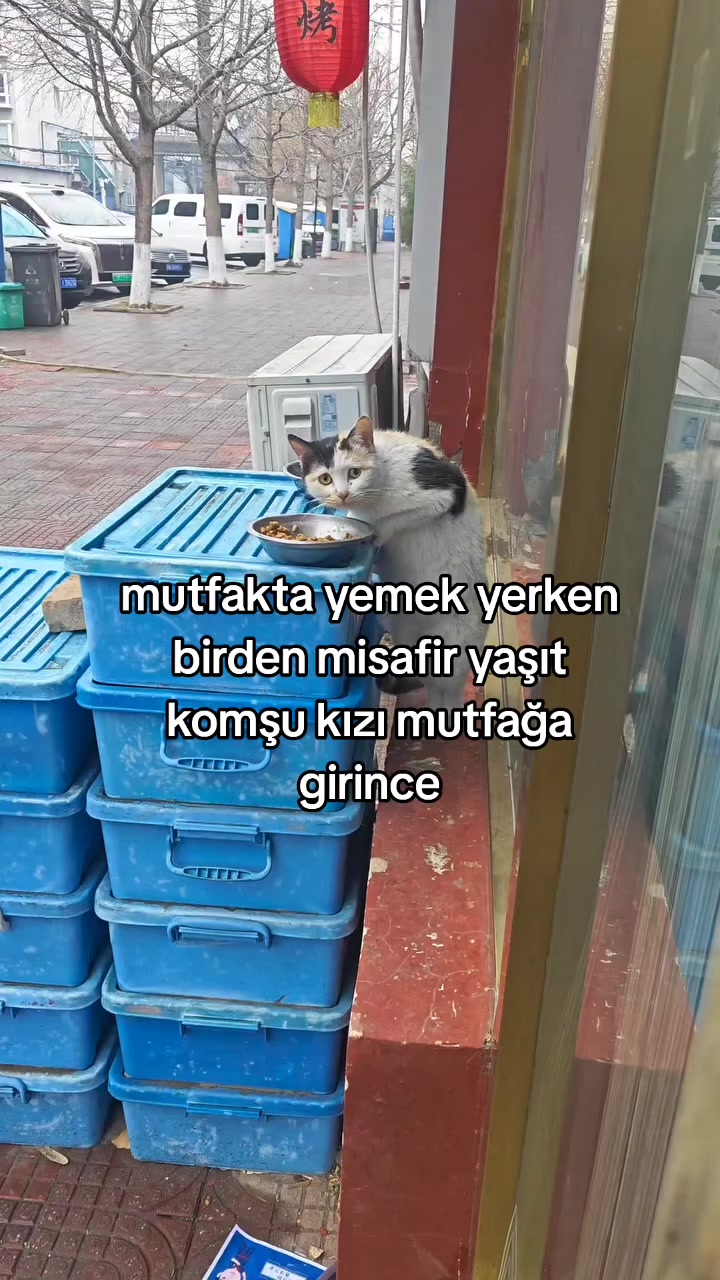 @rolland