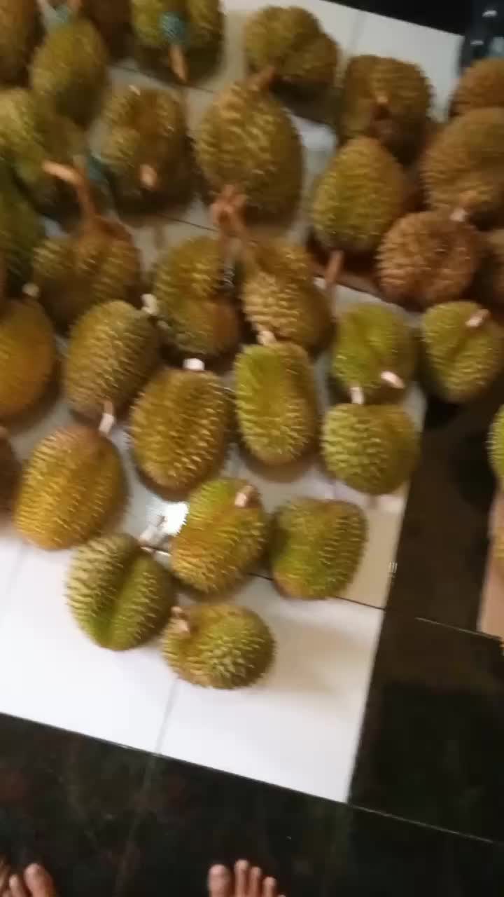 @Store durian simadep