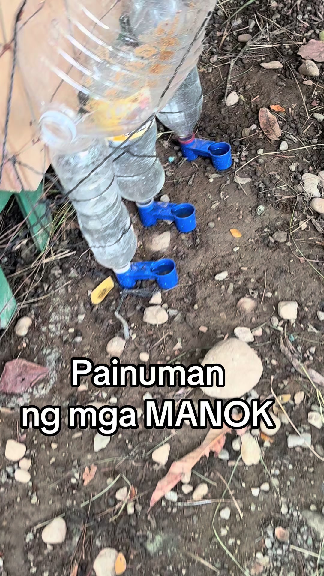 @BOSS MADAM HANNAH