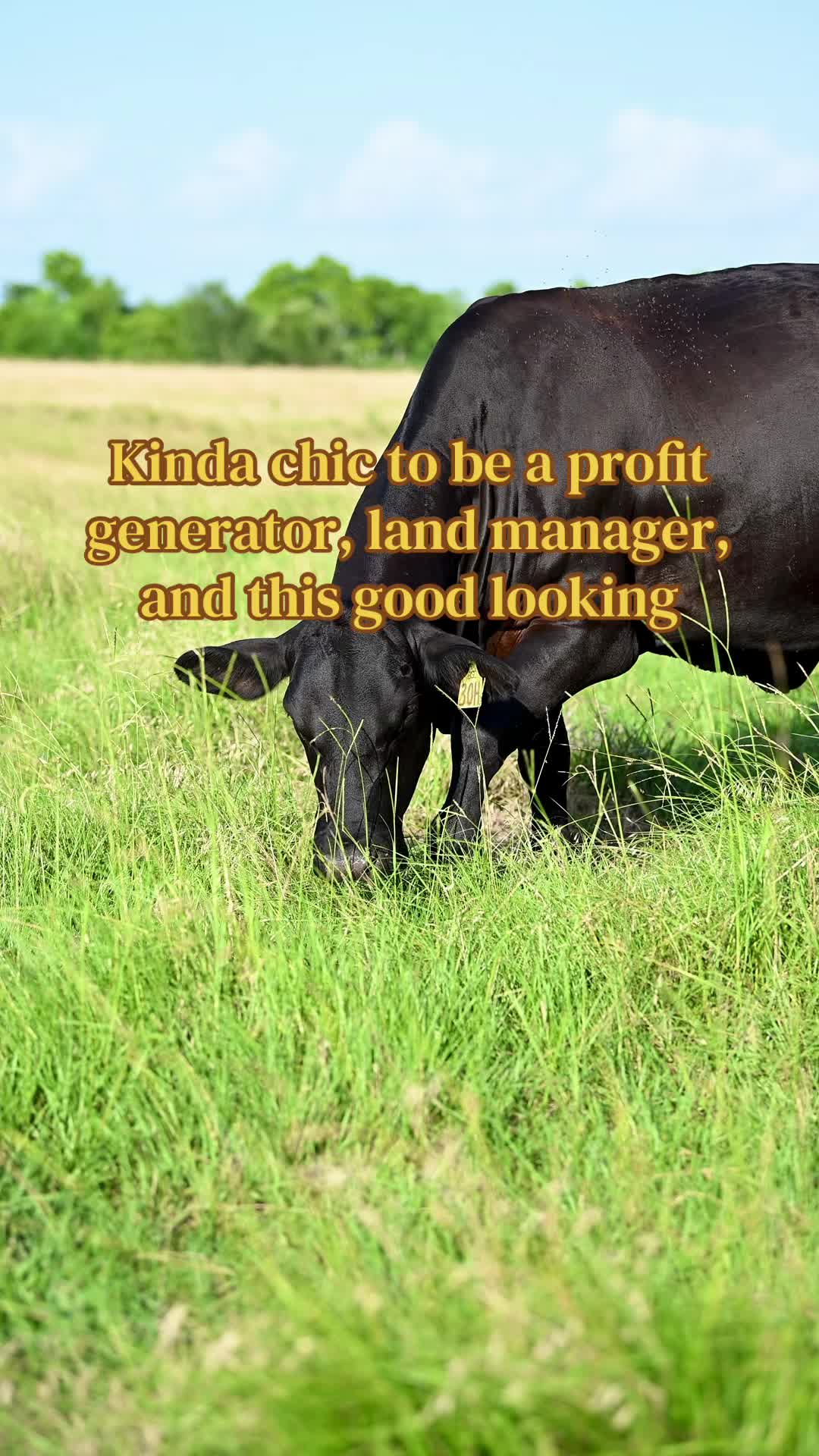 @Greenwood Stock Farms