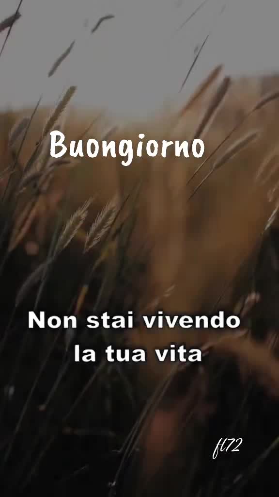 @Francesco Leonetti