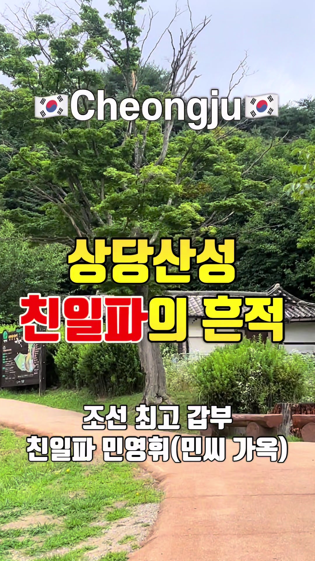 @043 TV