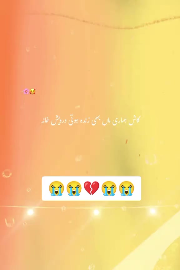 @MIAN SUNNY