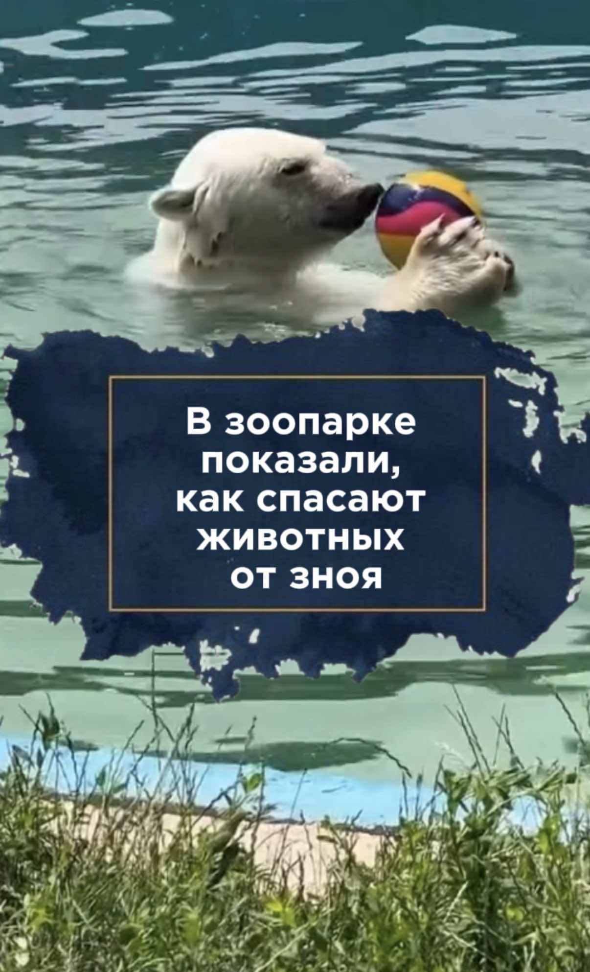 @zakon.kz ➡️ Новости Казахстана