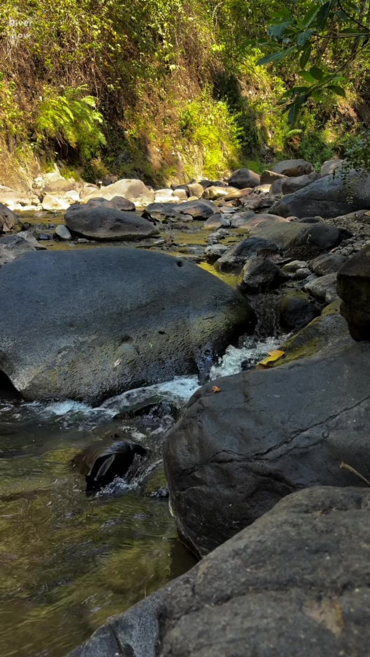 @River Flow