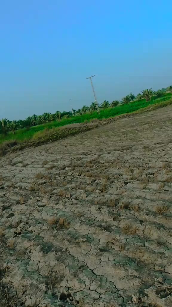 @shahbaz