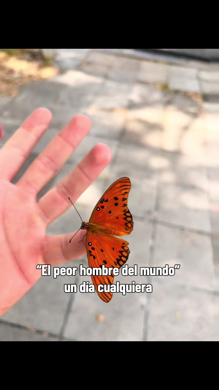 @?&iexcl;?&iexcl;?&iexcl;dape....