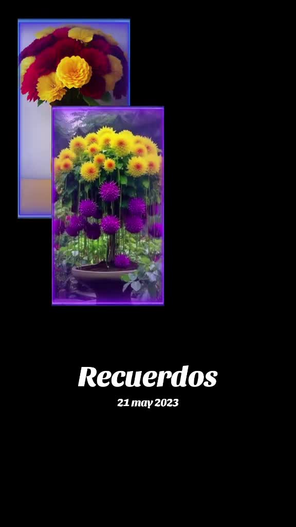 @Maldonado de Ramírez