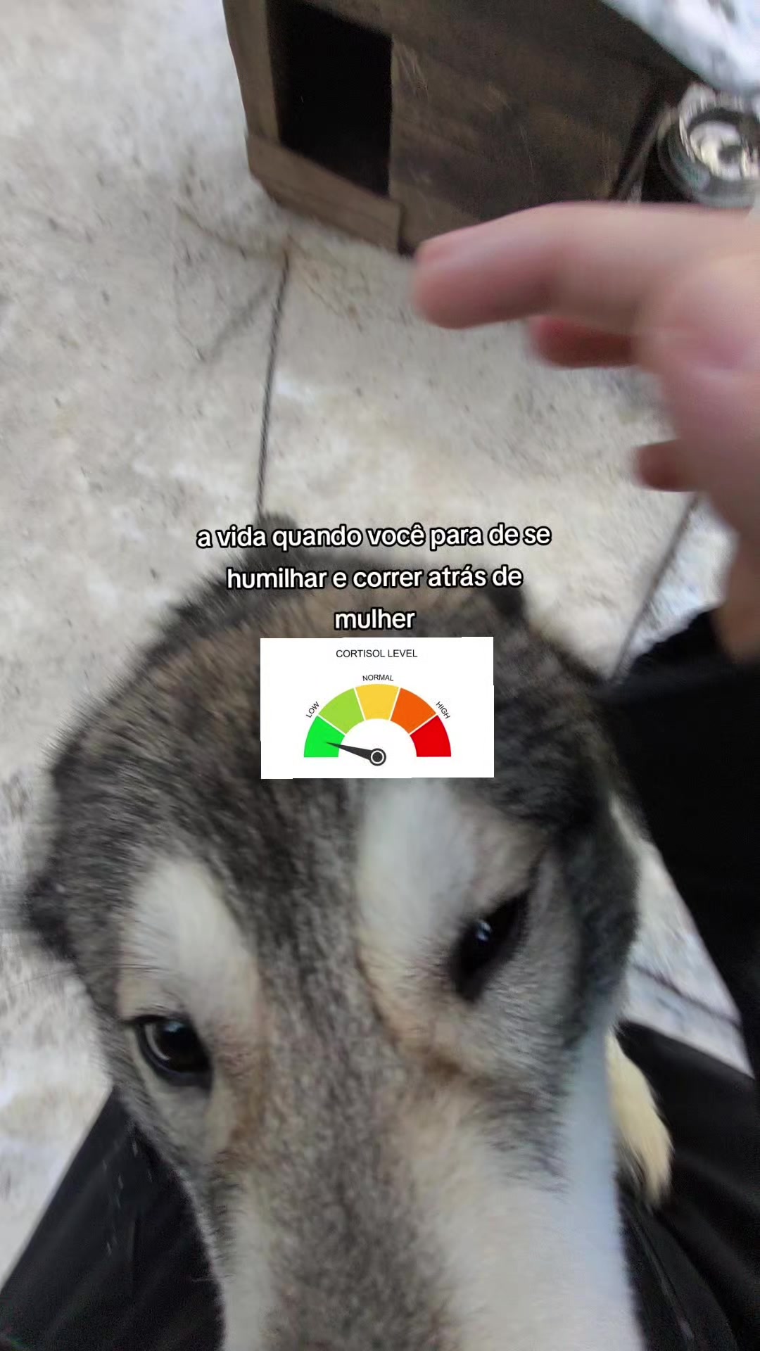 @RafaelUb