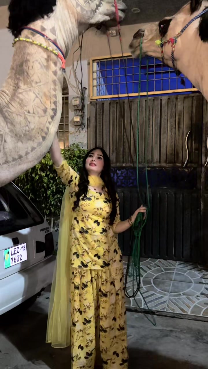 @Zarnab Khan Swati