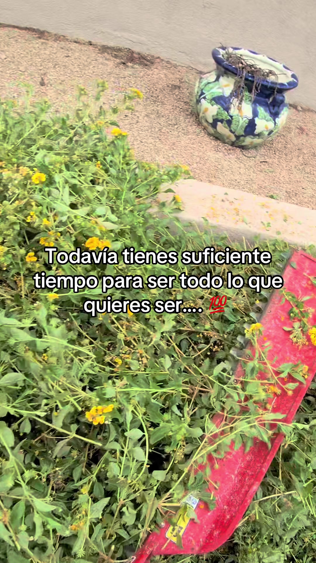 @landscaping