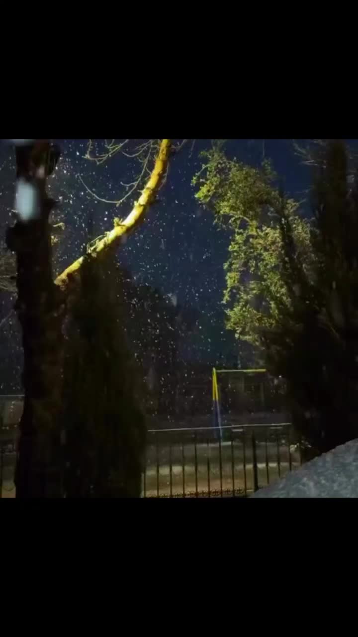 @ᦓꪀꫀꫝꪖ