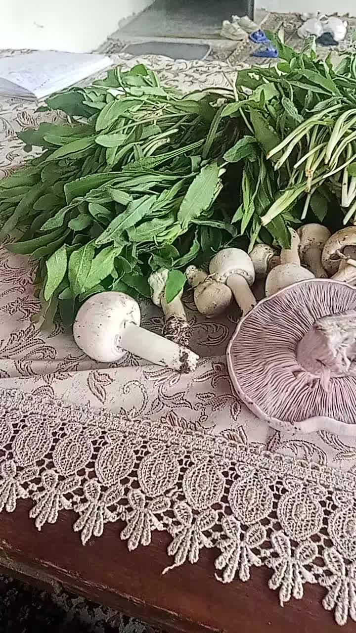 @Meri Sargsyan