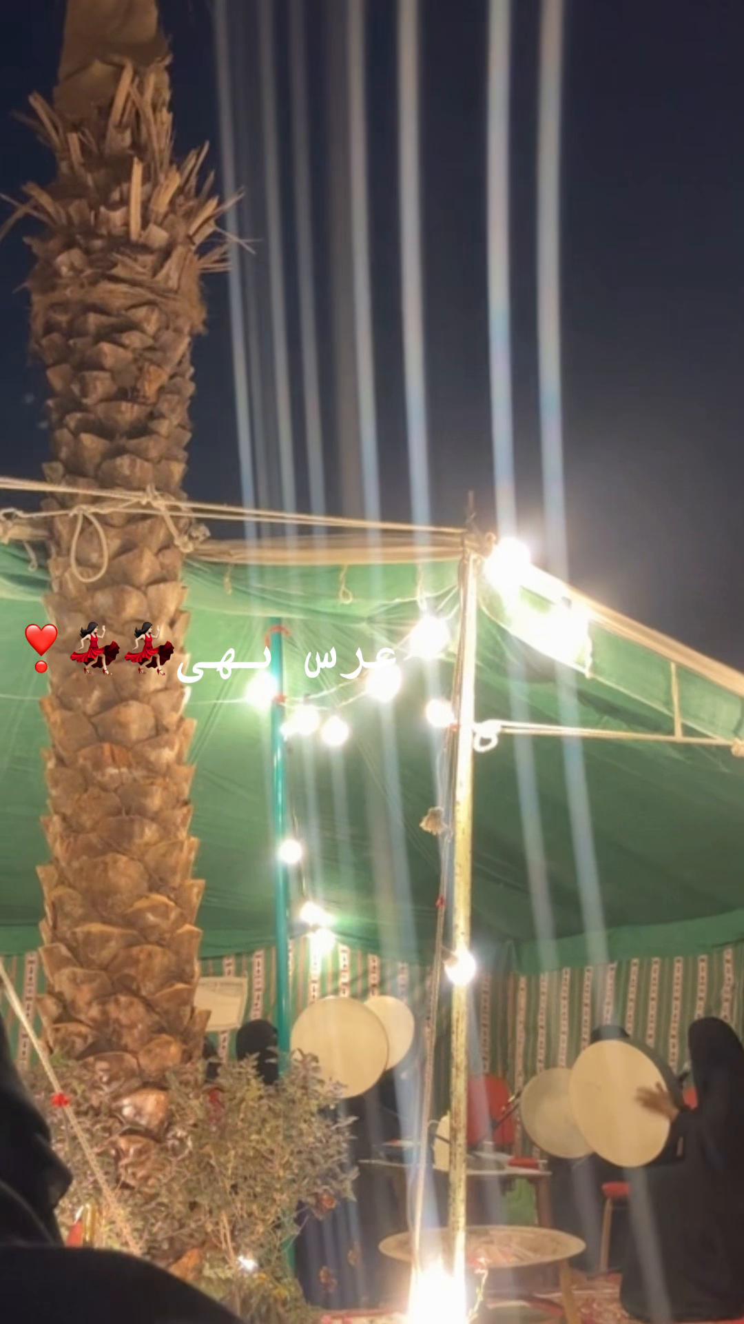 @lie502_