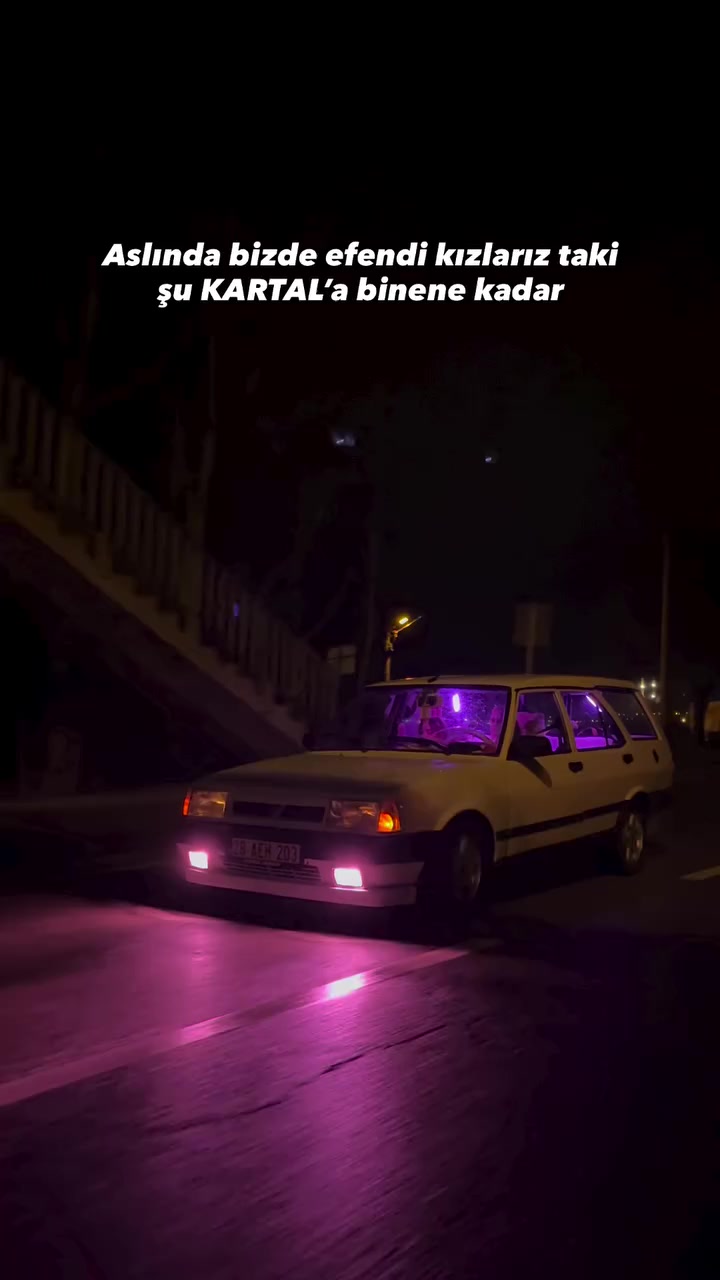 @aysegulldemiray_