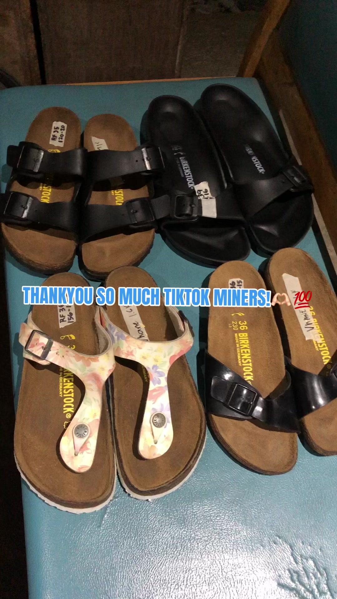 @DAILY BIRKS