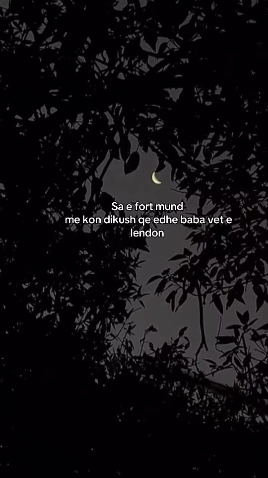 @📜