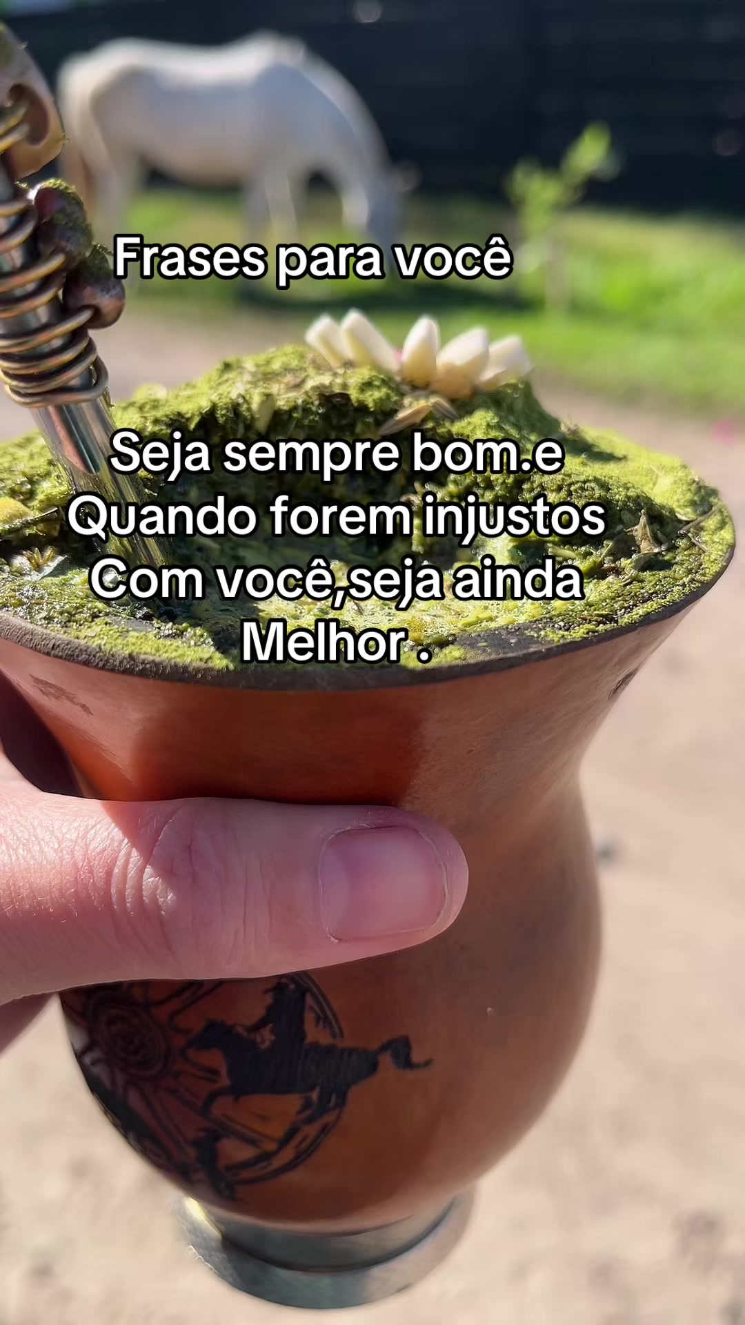@Fran_oliveira🎀