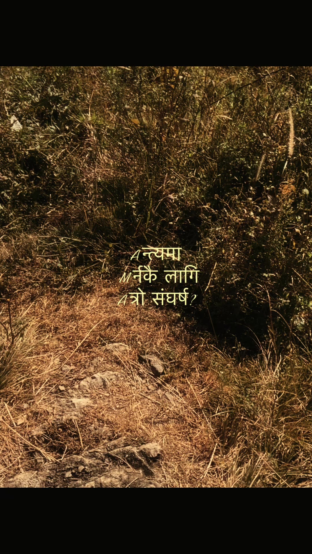 @Apil Chhetri