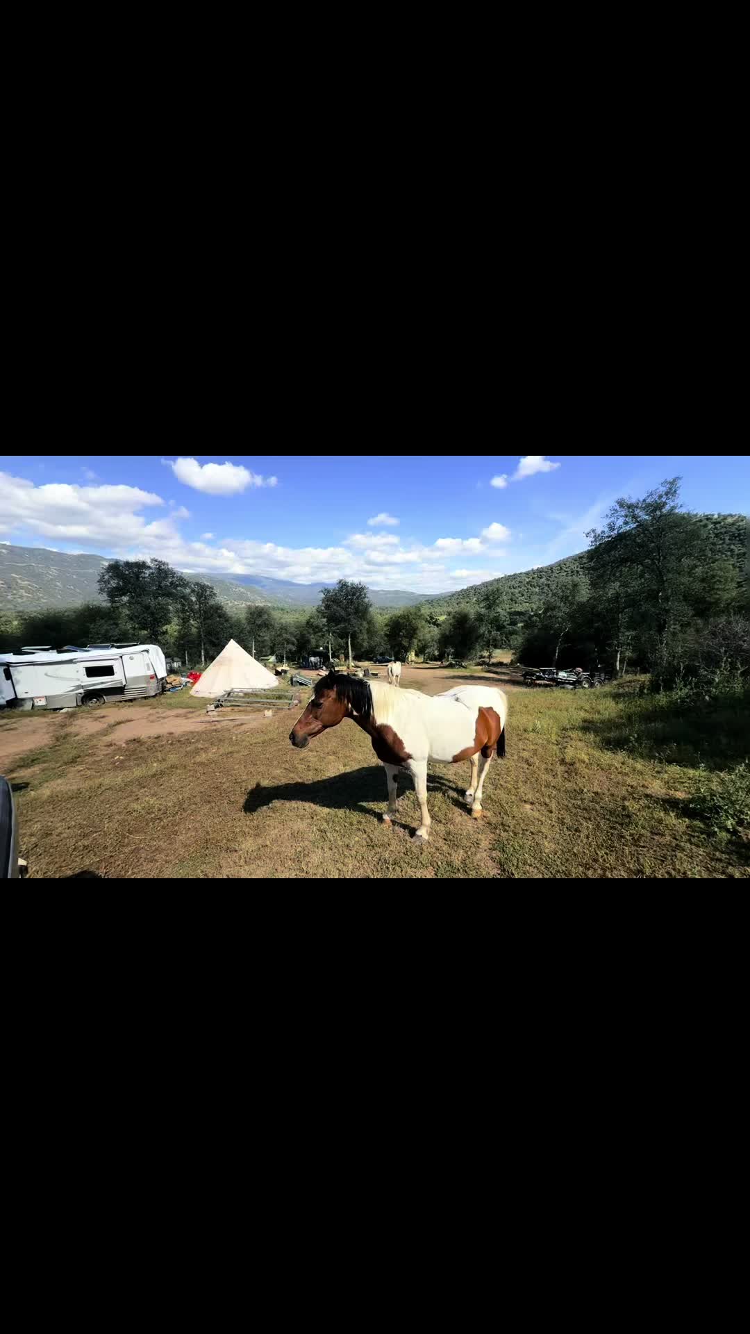 @G7 GuyOnTheRanch